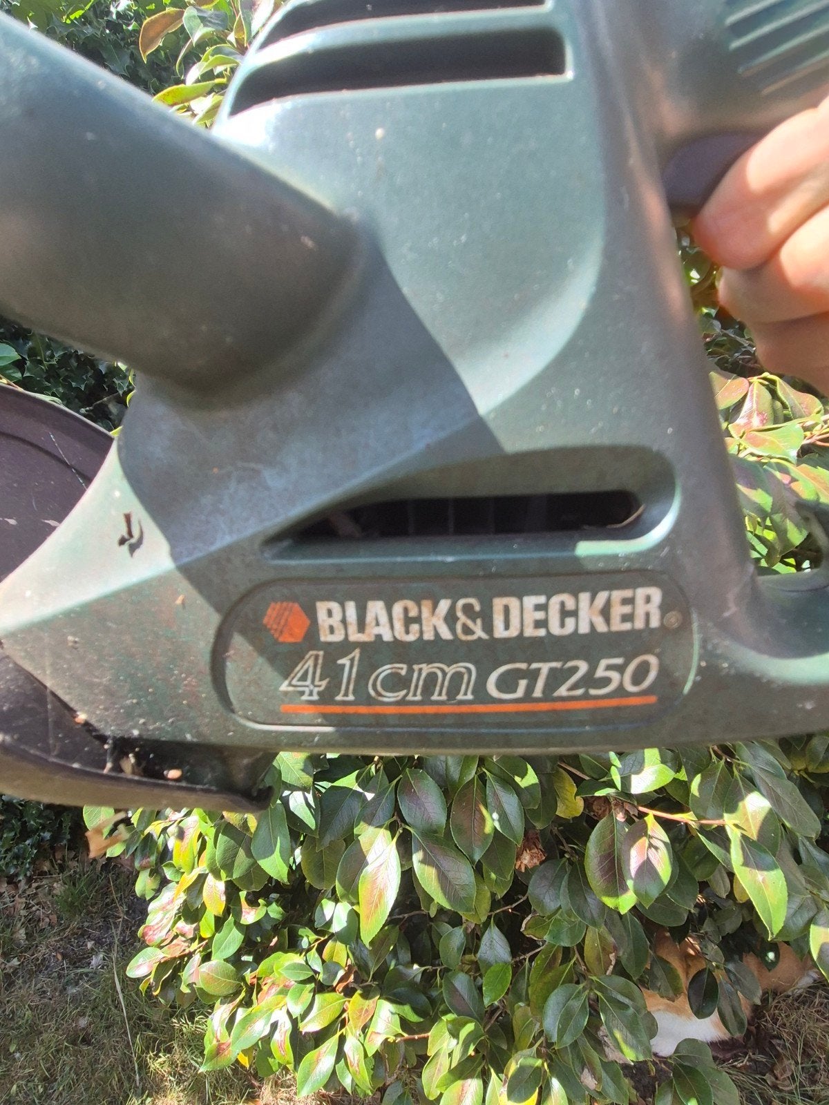 Heggeschaar, Tuin en Terras, Ophalen, Elektrisch