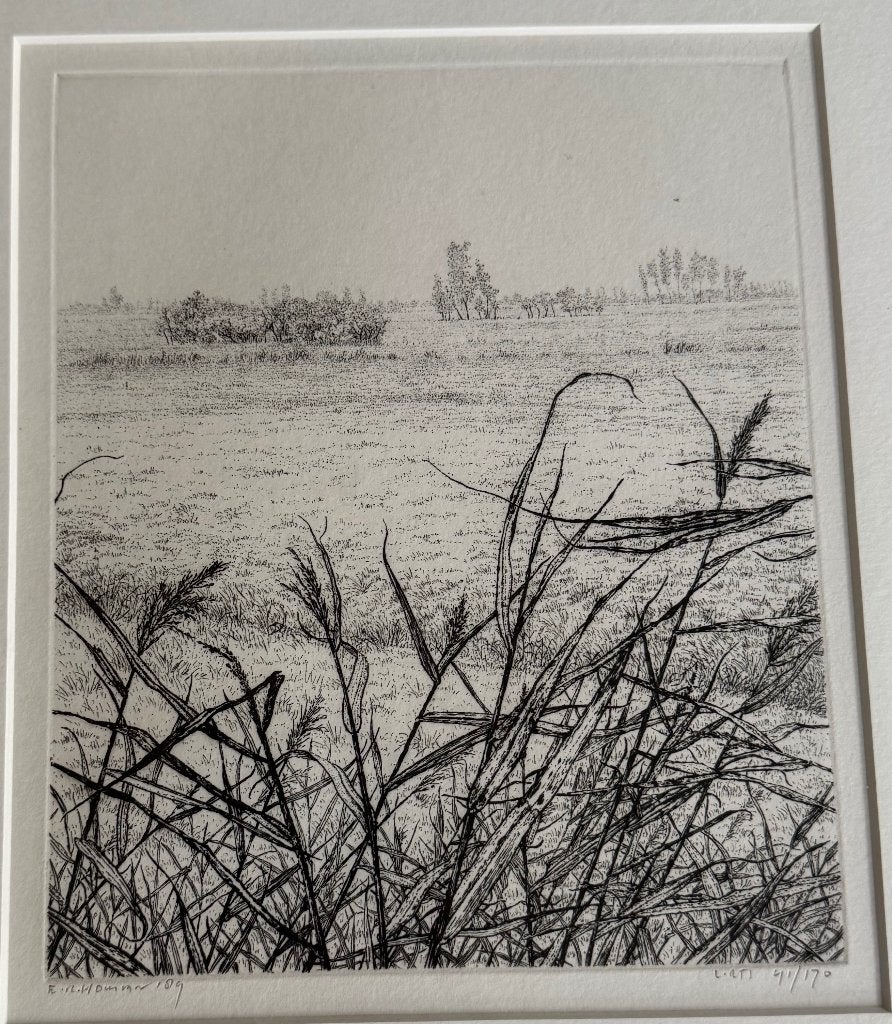 Ets "Landschap met Riet in de polder" van Reinder Homan '89, 18 cm, Landschap, 15 cm, 1950 - 1999