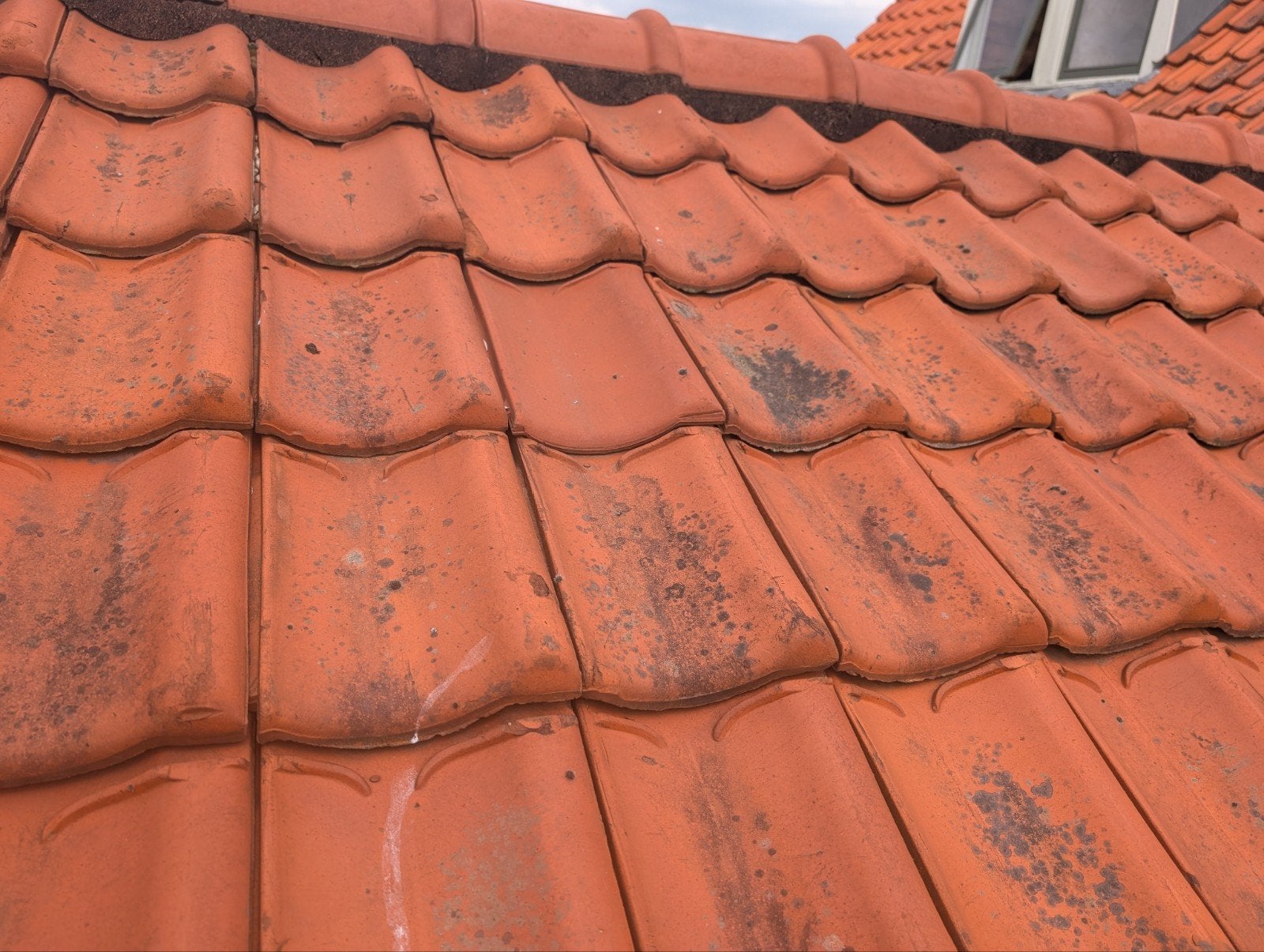 Gebruikte rode dakpannen, Doe-het-zelf en Verbouw, Dakpannen en Dakbedekking, Ophalen, Gebruikt, Steen of Klei, 15 m² of meer