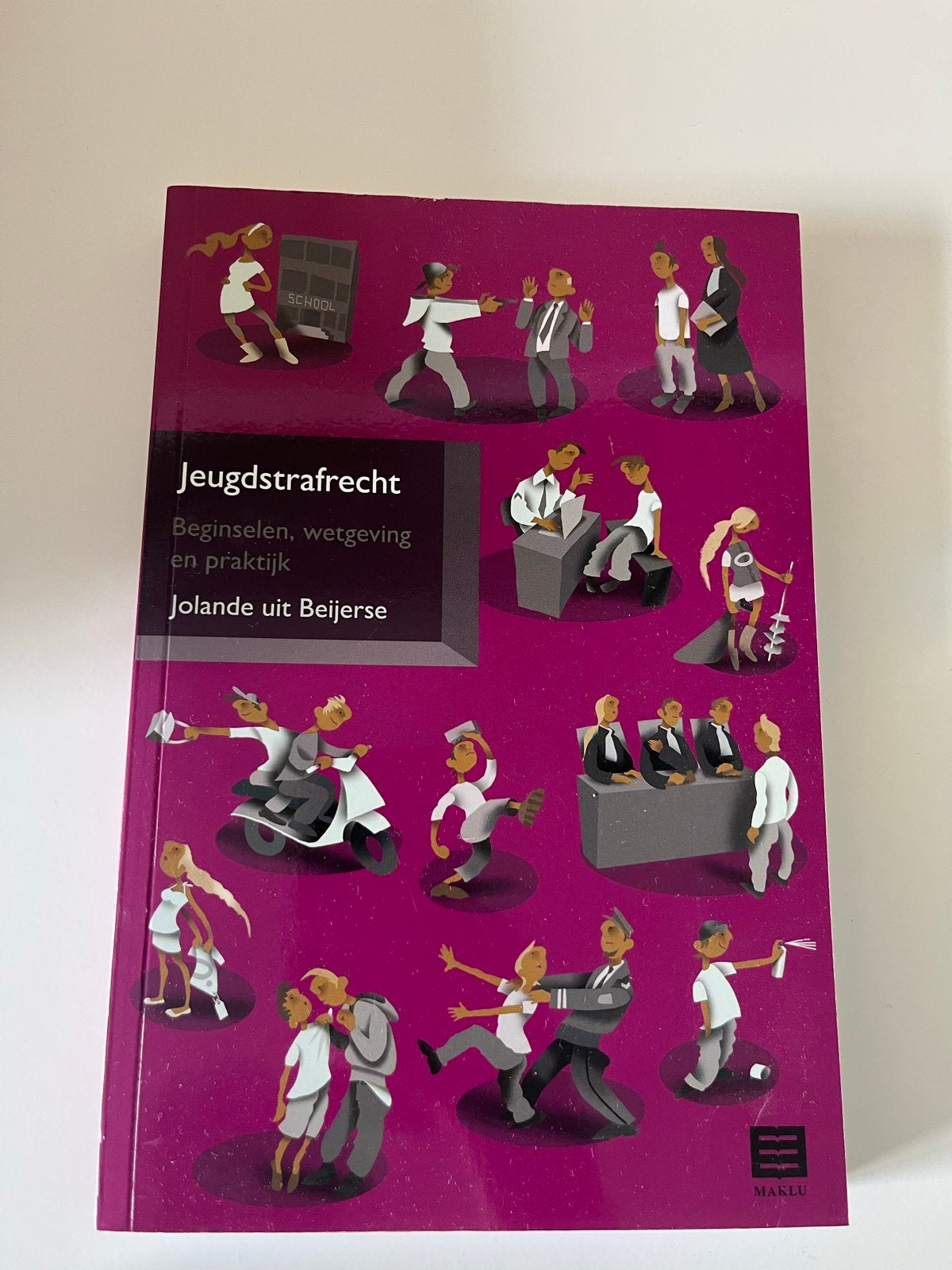 Jeugdstrafrecht: Beginselen, wetgeving en praktijk, Boeken, Ophalen of Verzenden, Gamma, Zo goed als nieuw, HBO