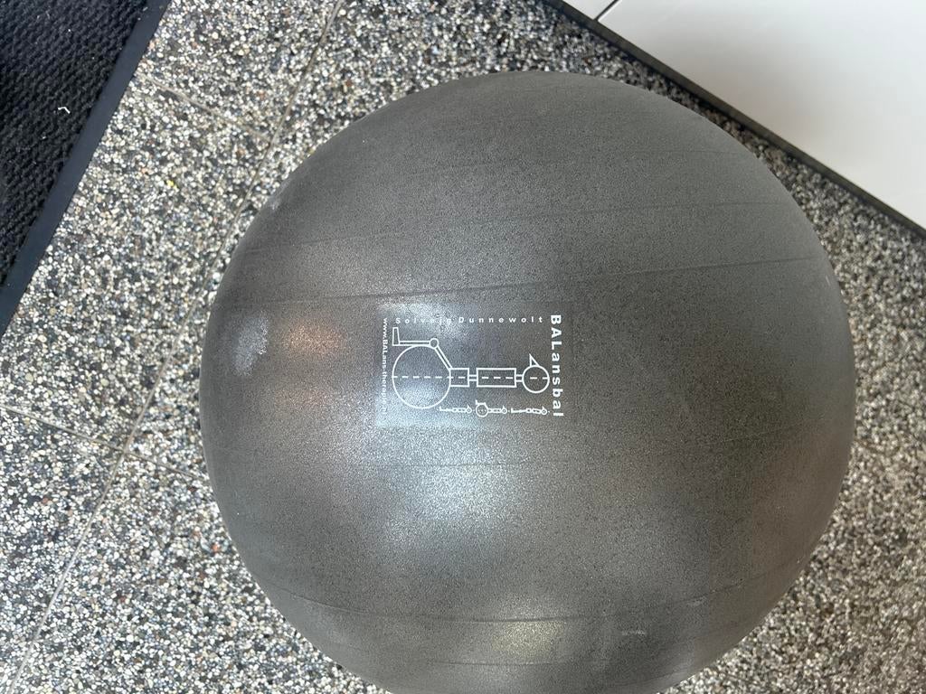 Balansbal, Sport en Fitness, Ophalen of Verzenden, Gebruikt, Fitnessbal