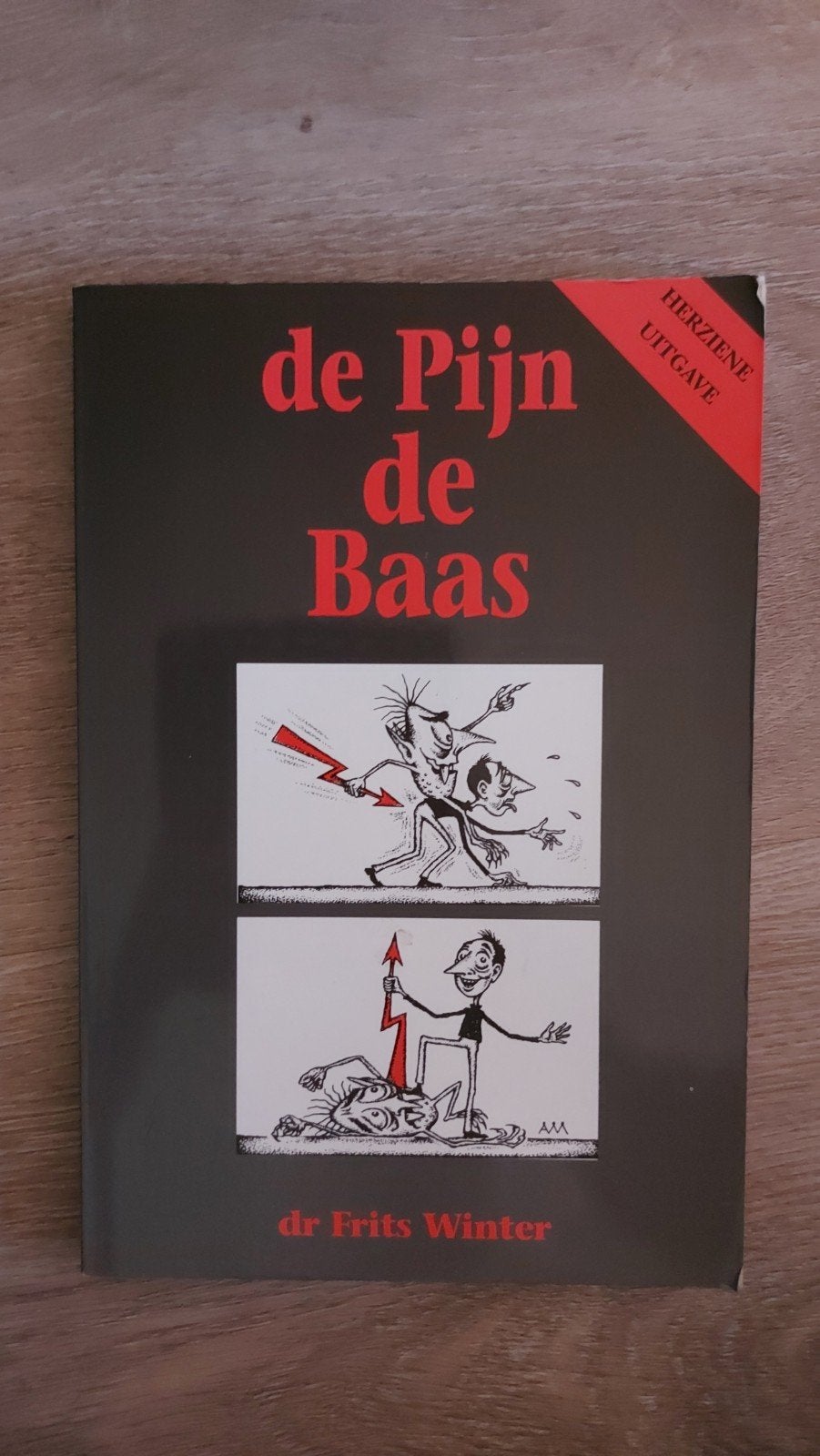 BB2: De Pijn de Baas - Dr. Frits Winter (Herziene Uitgave), Ophalen of Verzenden, Zo goed als nieuw