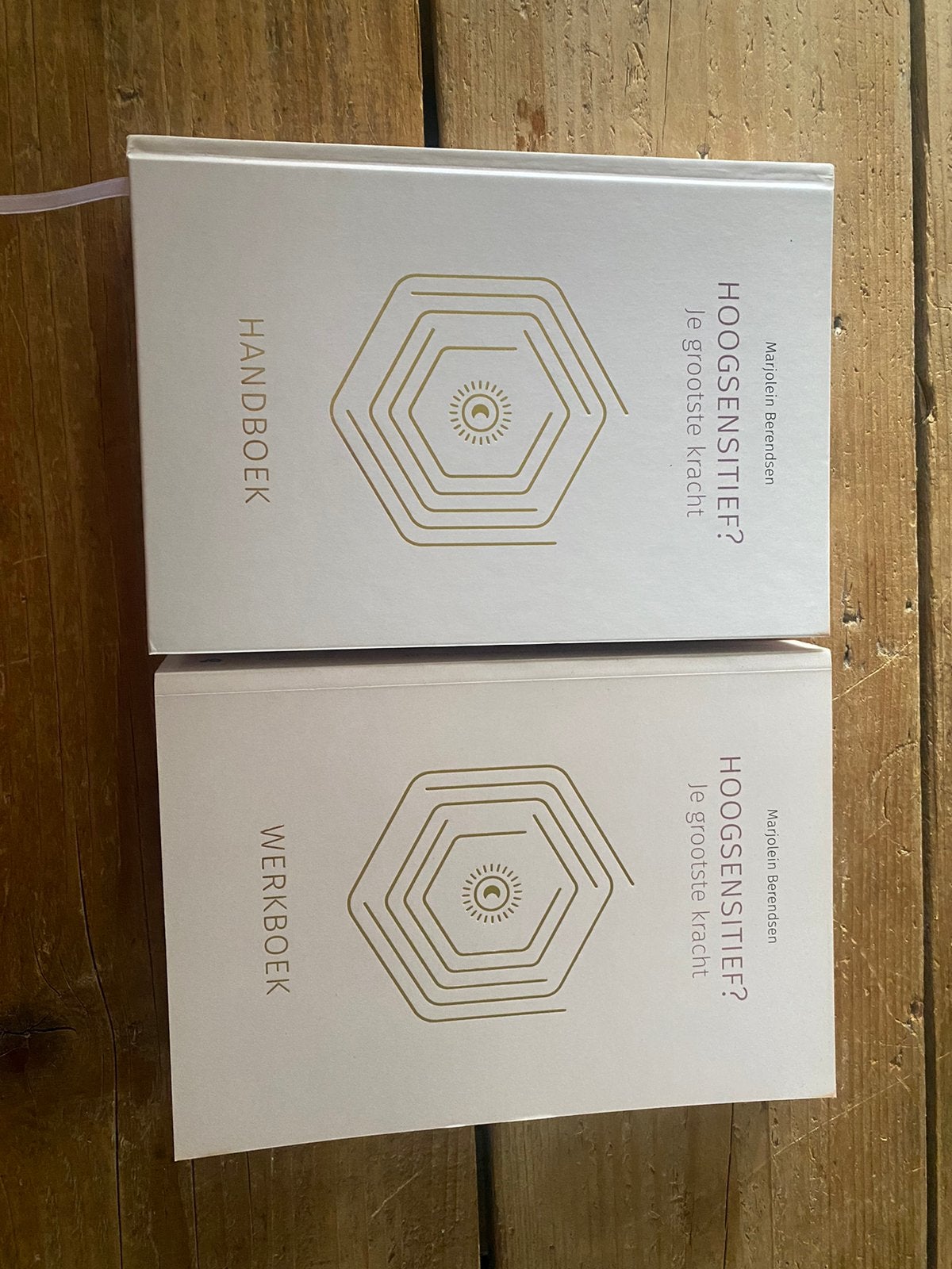 Hoogsensitief boek en werkboek marjolein berendsen, Ophalen of Verzenden, Nieuw, Spiritualiteit algemeen, Overige typen