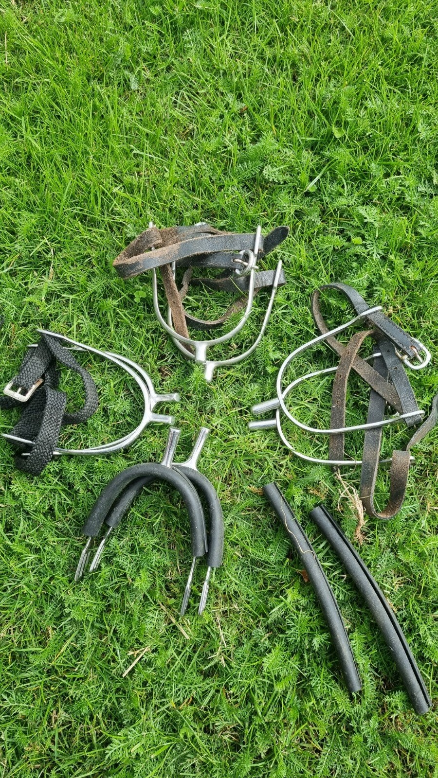 sporen, Dieren en Toebehoren, Ophalen