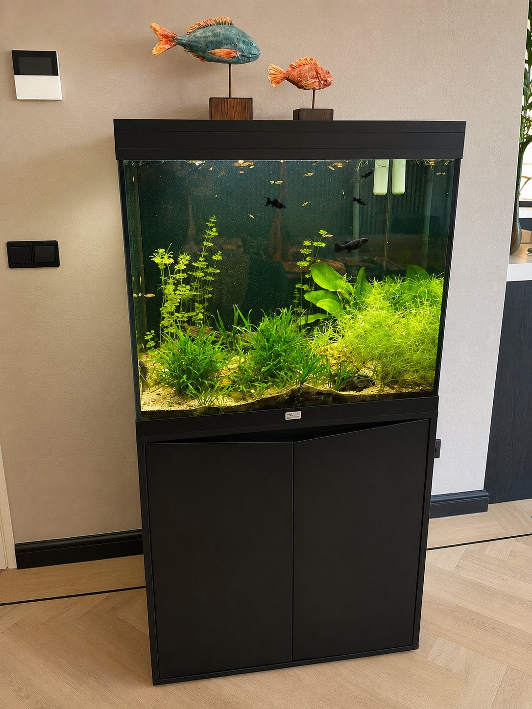 Aquatlantis aquarium, Ophalen, Gebruikt, Gevuld zoetwateraquarium