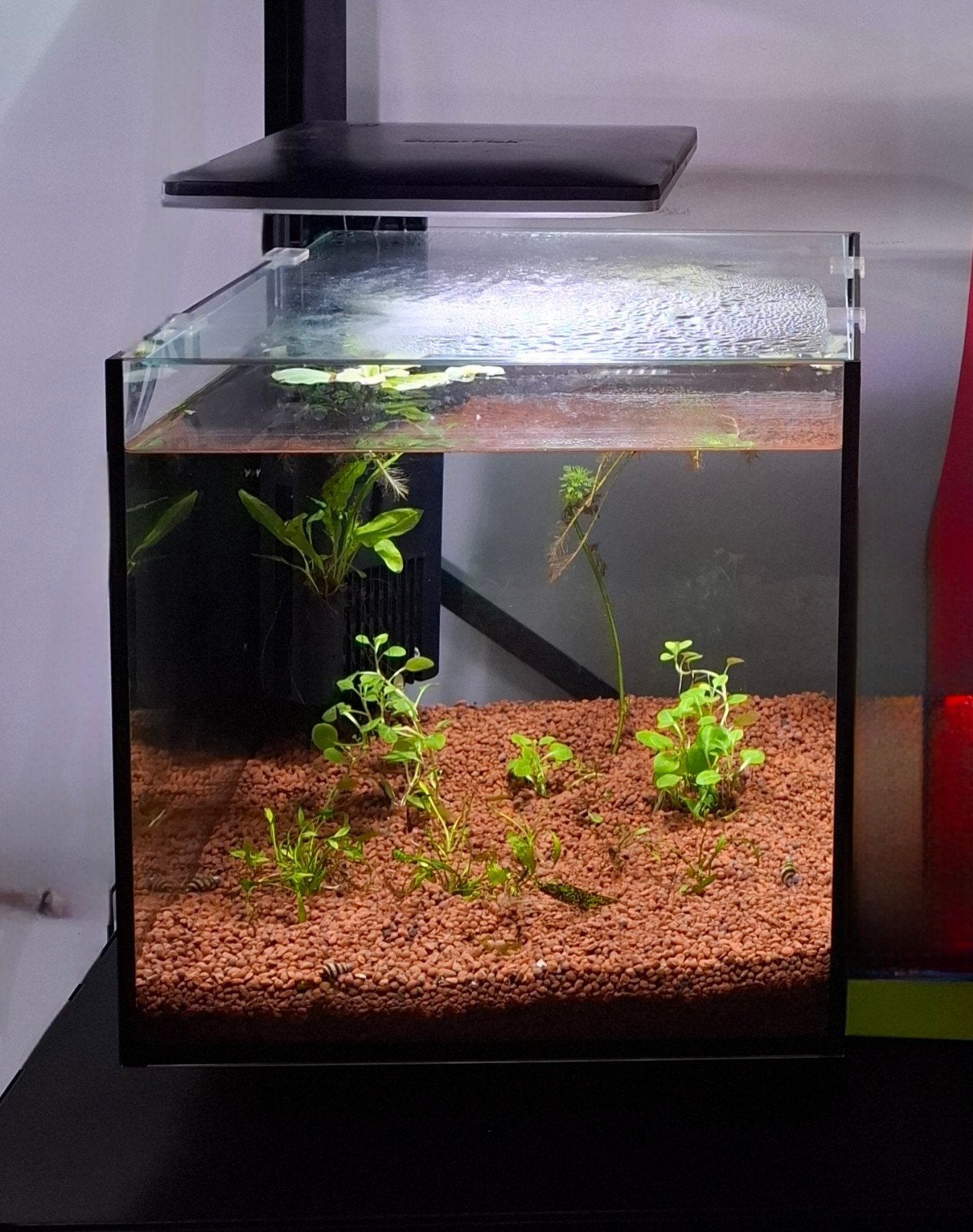 Superfish Aquarium Kubus Vorm, Ophalen, Zo goed als nieuw, Leeg aquarium