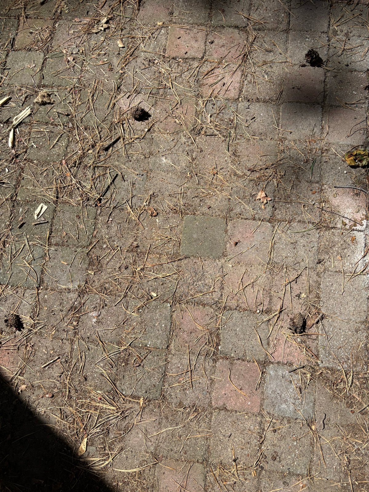 Gebruikte betonnen klinkers voor bestrating, Ophalen, Gebruikt, Klinkers, 5 tot 10 m²