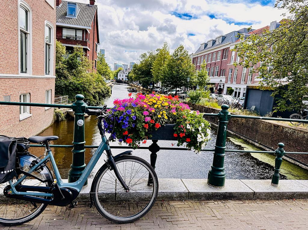 Gazelle Orange C8 HMB Electric Bike – Excellent Condition, Ophalen, Gebruikt, 47 tot 51 cm, 50 km per accu of meer