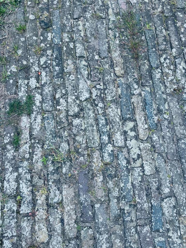 Gebruikte Waaltjes - Authentieke Bestrating voor Tuin/Oprit, Overige materialen, Gebruikt, Klinkers, Ophalen of Verzenden