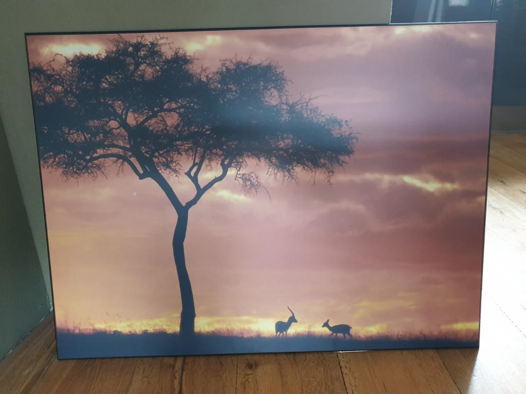 Schilderij: Afrikaanse Savanne 80x60 cm (Woodprint), Ophalen