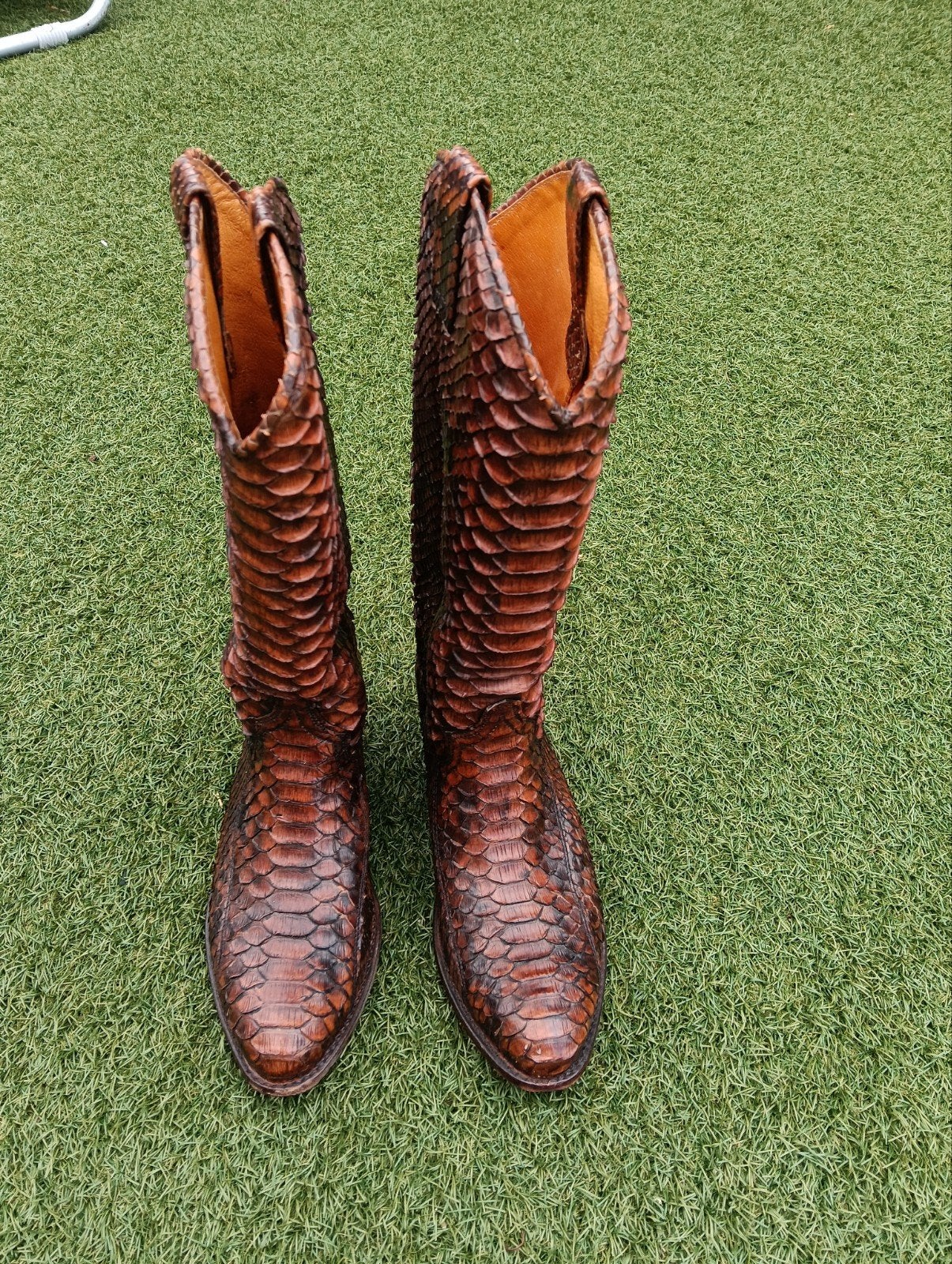 Frye Cowboy Laarzen - Slangenleer Look - Maat 37,5, Kleding | Dames, Schoenen, Hoge laarzen, Bruin, Ophalen of Verzenden, Frye
