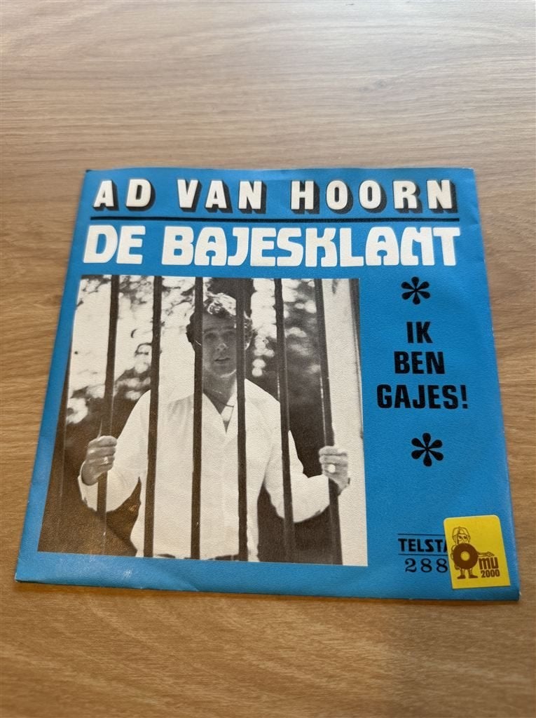 Ad van Hoorn - De Bajesklant, Ophalen of Verzenden, Zo goed als nieuw, Nederlandstalig