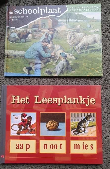 de Schoolplaat - het Leesplankje, Boeken, Ophalen of Verzenden, Zo goed als nieuw