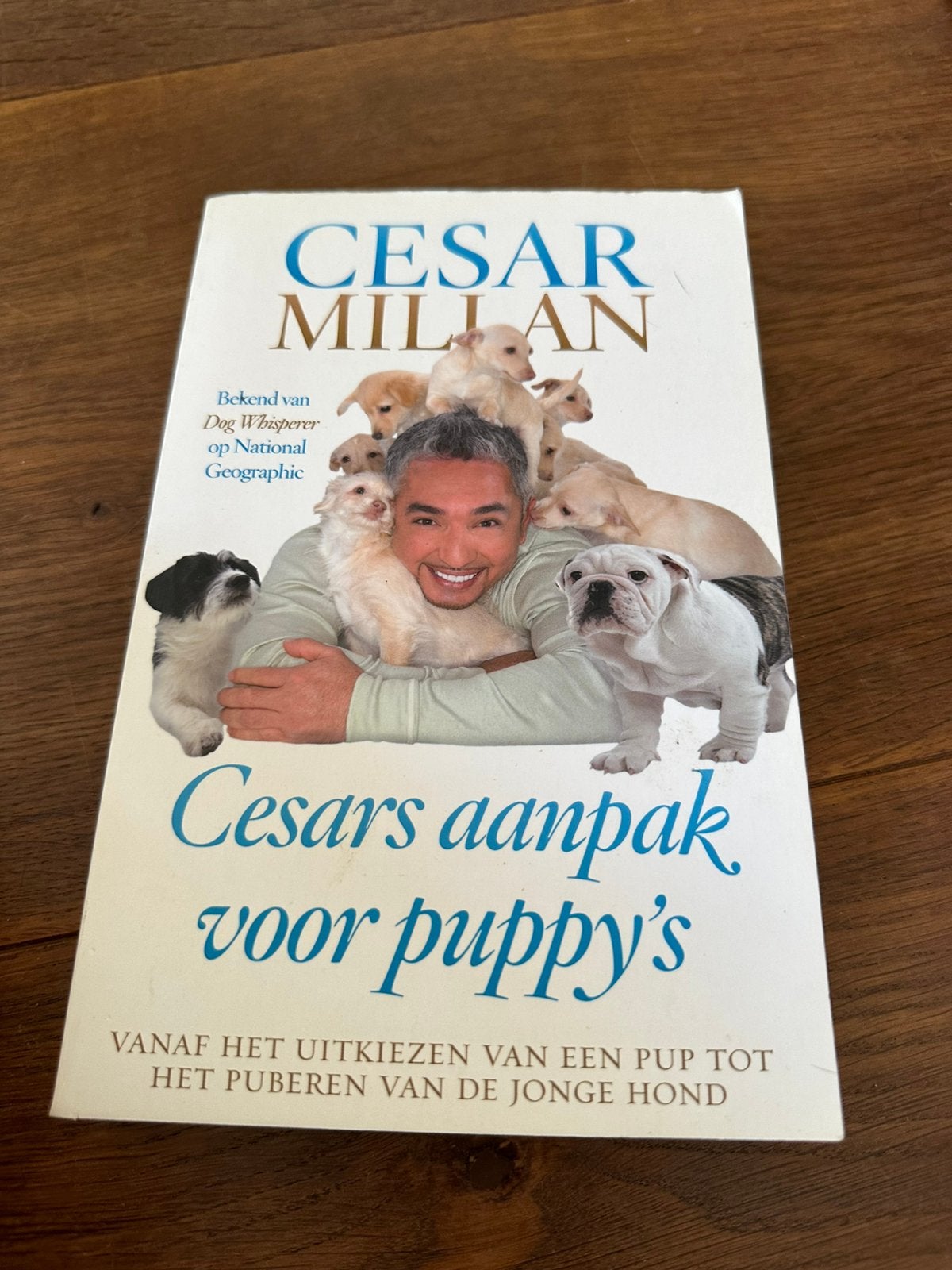Cesar Millan - Cesars aanpak voor puppy's, Boeken, Dieren en Huisdieren, Cesar Millan; Melissa Jo Peltier, Honden, Ophalen of Verzenden