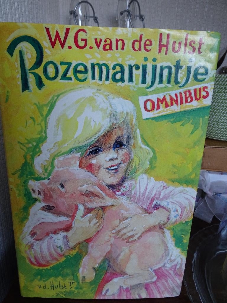 Rozemarijntje omnibus W G van de Hulst, Boeken, Ophalen of Verzenden, Gelezen, Fictie algemeen