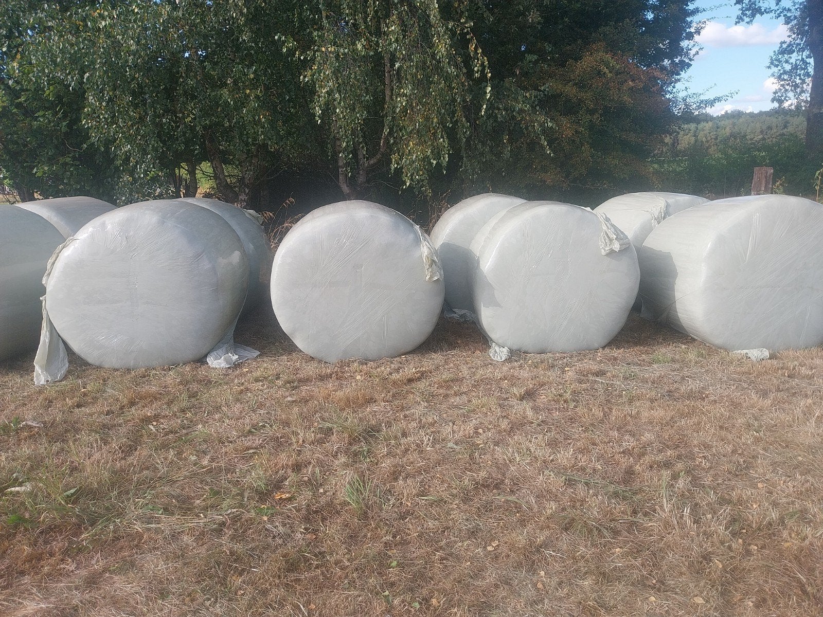 9 rondebalen voor paarden of jongvee