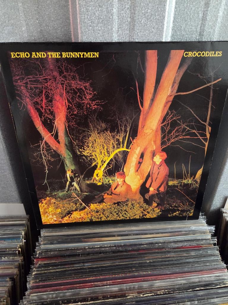 Vinyl lp ECHO & THE BUNNYMEN: CROCODILES, Gebruikt, 1980 - 1989, Alternative, Ophalen of Verzenden