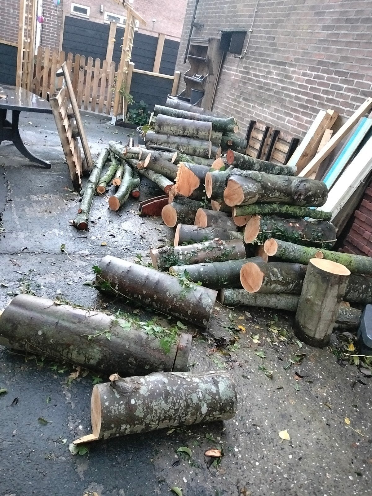 Verse boomstammen - zelf zagen en drogen, 3 tot 6 m³, Ophalen, Overige houtsoorten, Stammen
