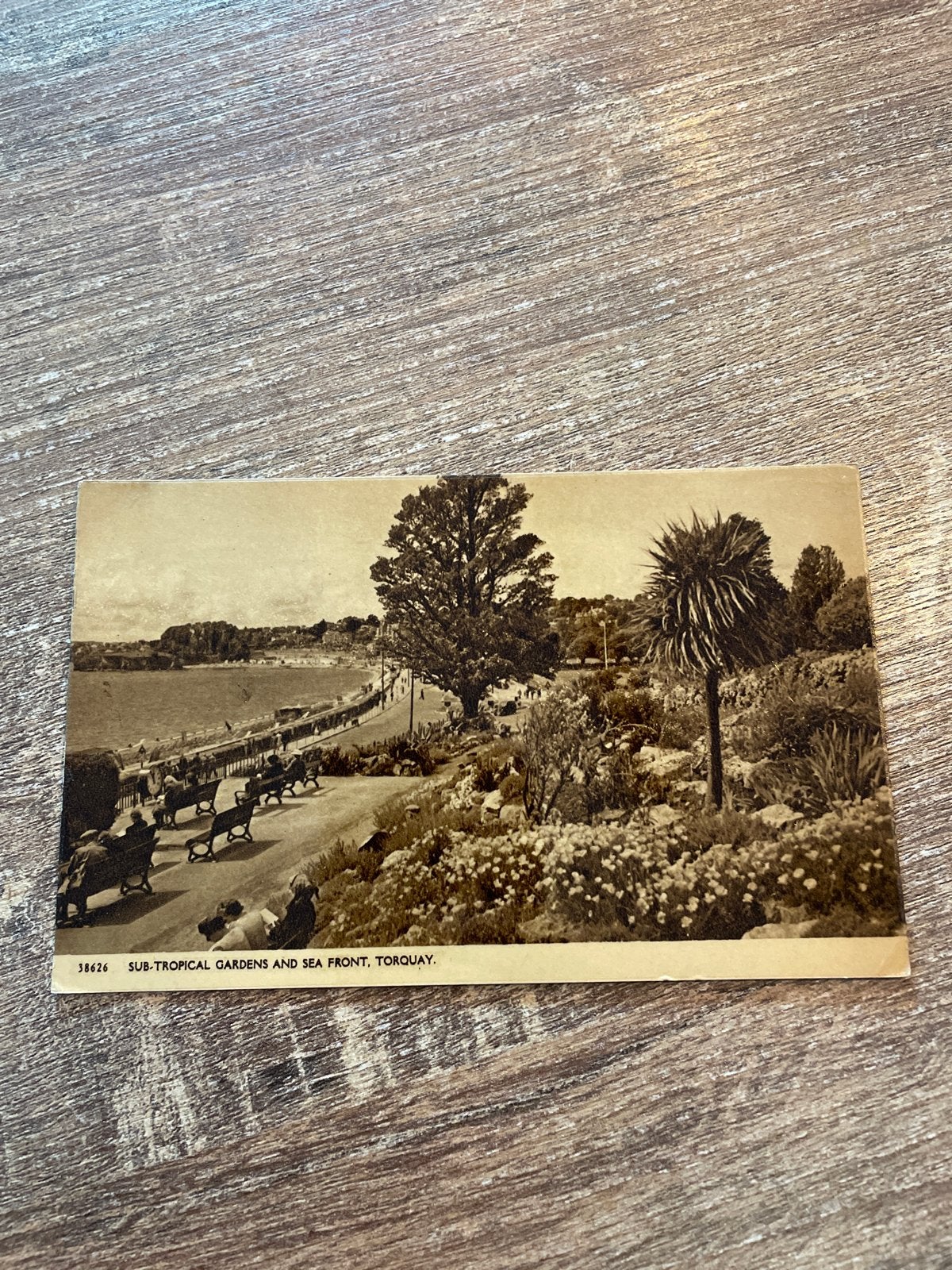 Oude ansichtkaart Torquay, Sub-Tropical Gardens and Sea Fron, Ophalen of Verzenden, 1940 tot 1960, Gelopen, Engeland