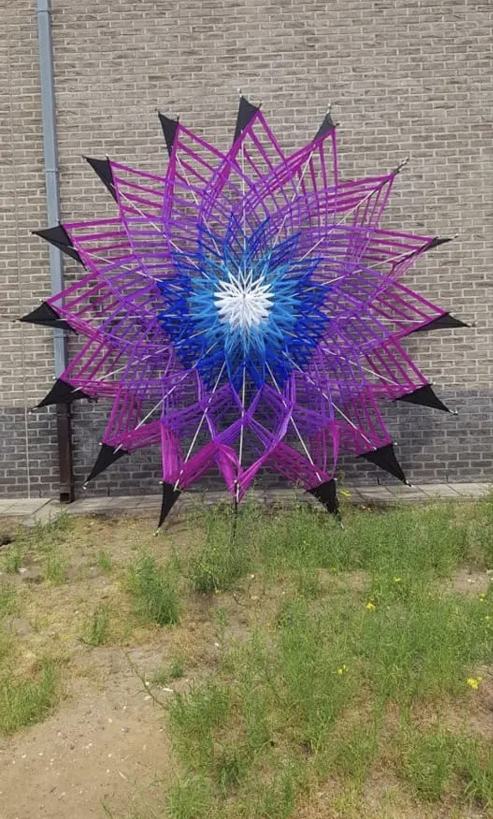 Bloem vliegers, Ophalen, T, T, T