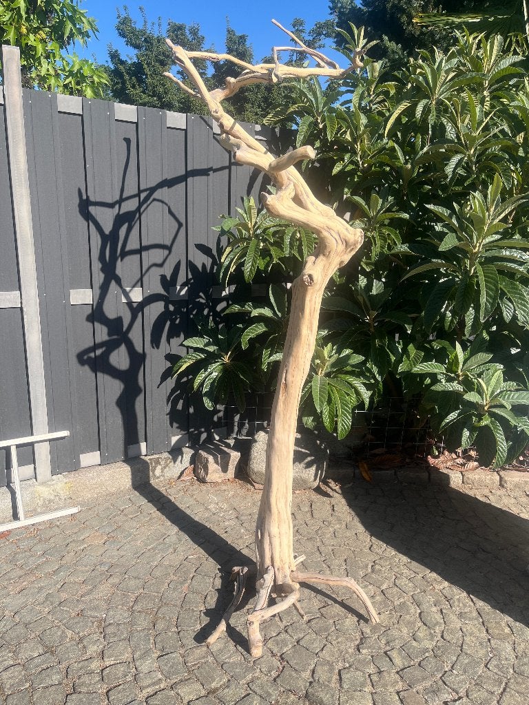 Papegaaienboom, koffieboom, java boom, vogelstandaard, Huis en Inrichting, Ophalen, Zo goed als nieuw