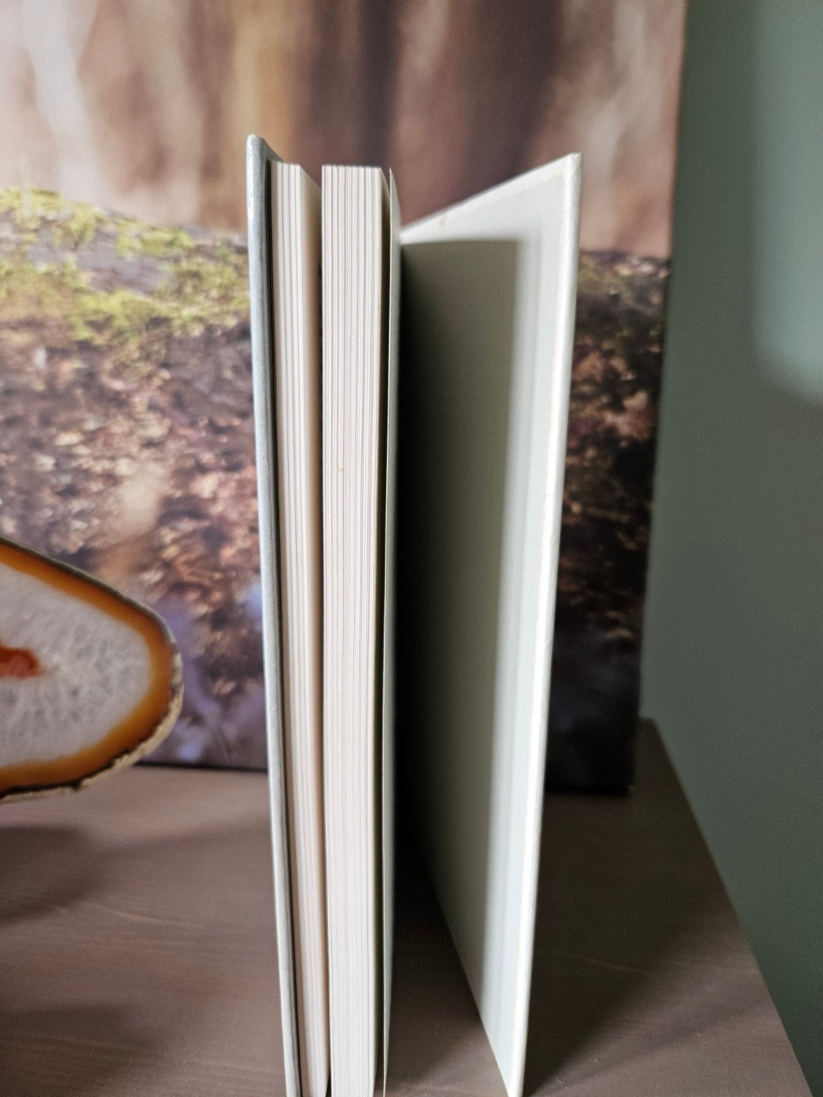 Zebravinken - Hans Klören - Boek over vogels, Ophalen of Verzenden, Zo goed als nieuw, Vogels, Hans Klören