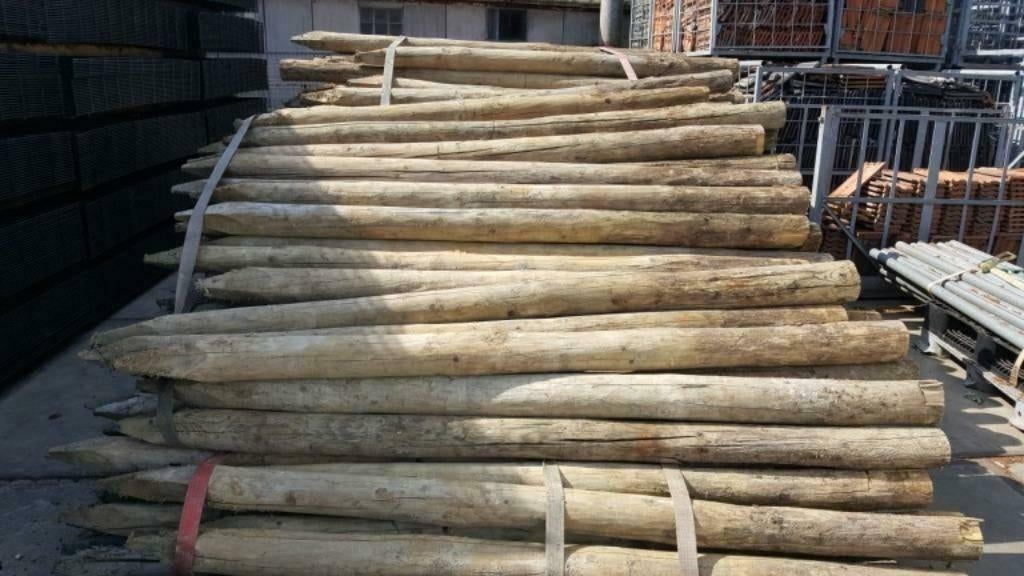 Weidepalen 3a 4 m lang, Weidegang