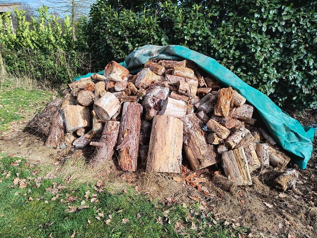 Dennenhout blokken, 6 m³ of meer, Ophalen, Overige houtsoorten, Blokken