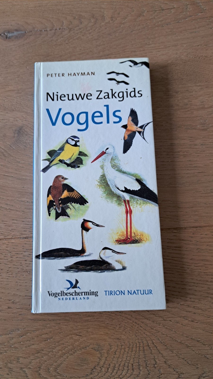 boek over vogels, Ophalen of Verzenden, Zo goed als nieuw, Vogels, Peter Hayman