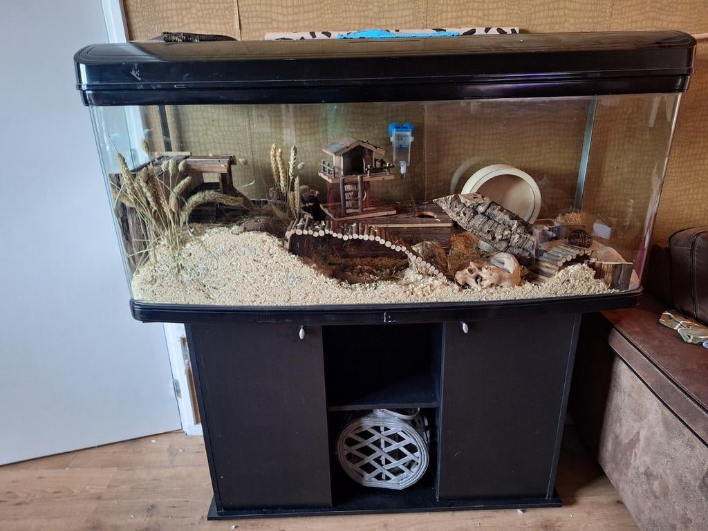 Hamsterscaping spullen met aquarium, Ophalen, Hok, Chinchilla, Minder dan 60 cm