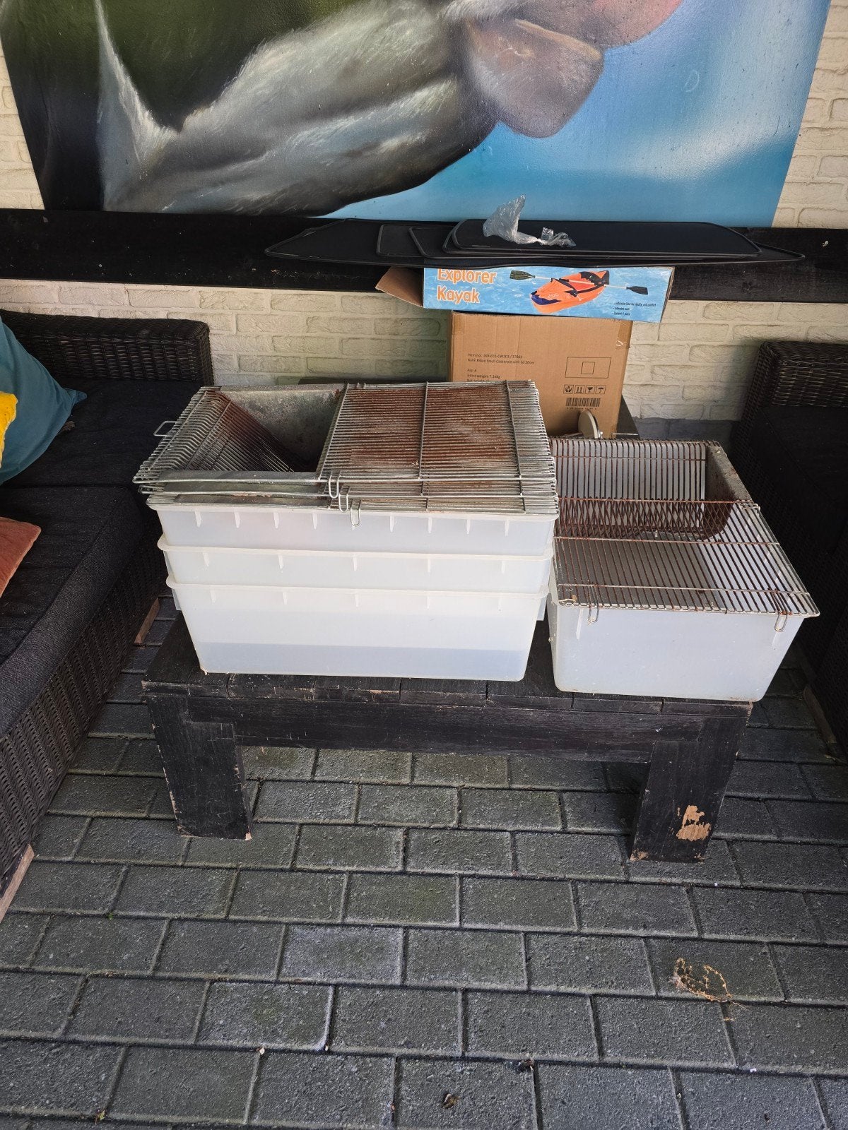 T4 laboratorium bakken ratten, muizen, Dieren en Toebehoren, Ophalen of Verzenden