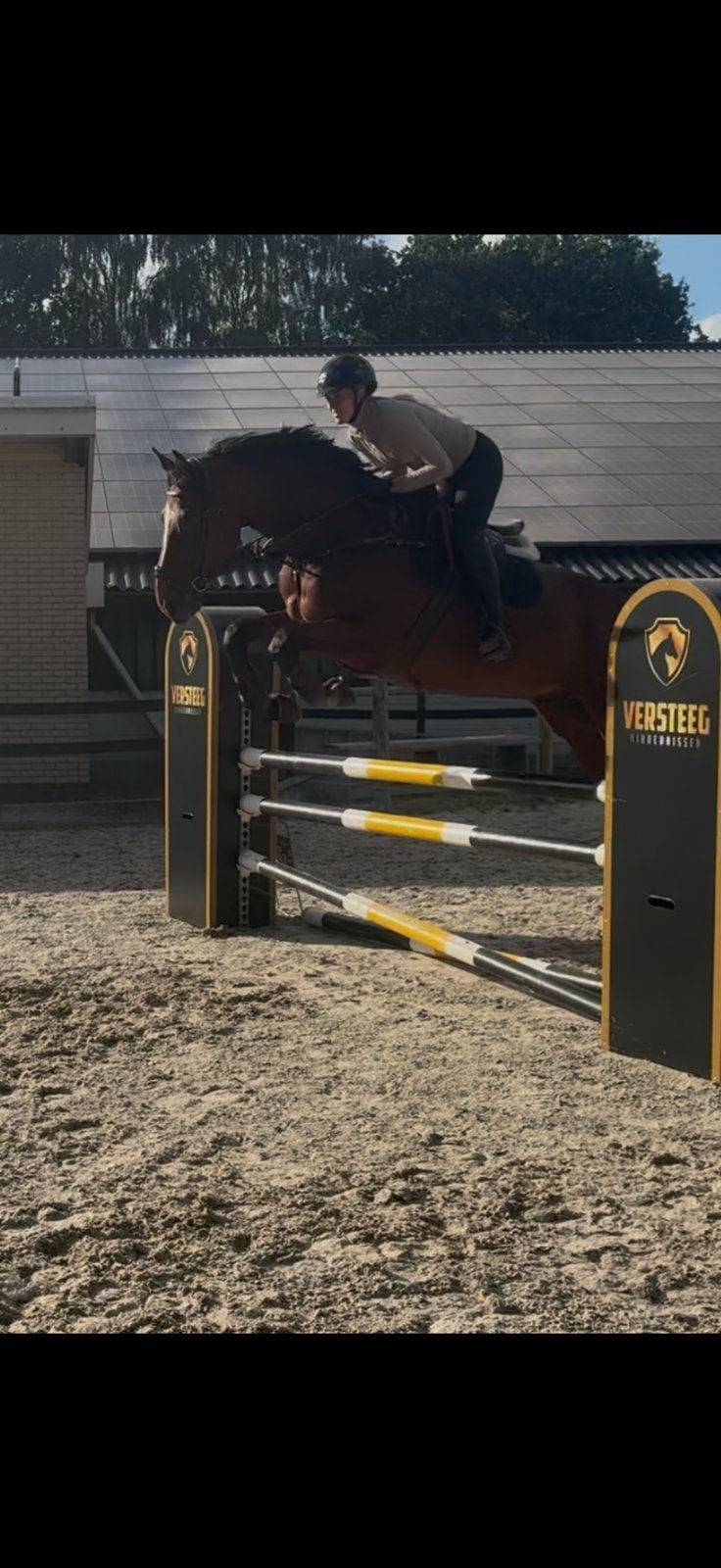 Pensionstalling gezocht, Stalling, 2 of 3 paarden of pony's