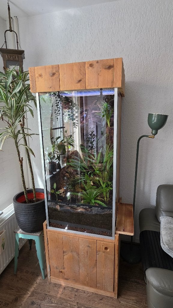 Paludarium, Dieren en Toebehoren, Ophalen, Gebruikt, Terrarium of Paludarium