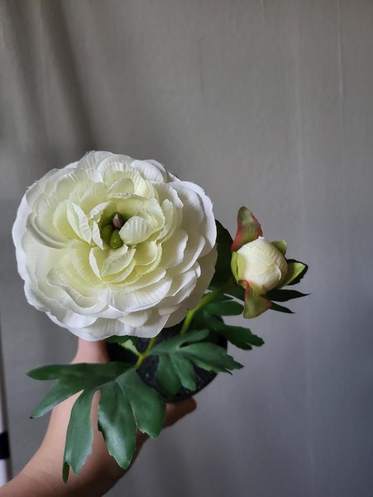Witte Nep Ranonkel in Pot - Kunstbloem, Binnen, Onderhoudsvrij, Kunstbloem, Nieuw
