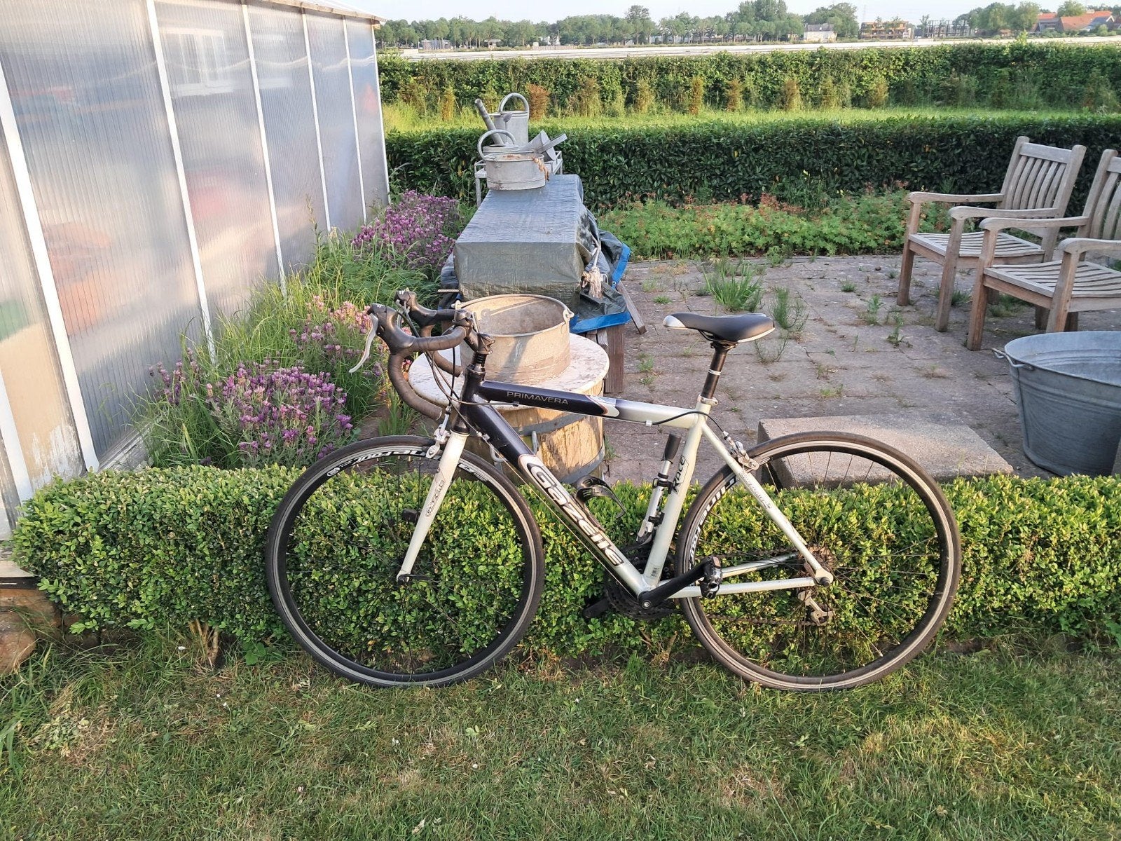 Gazelle Primavera Racefiets - 28 inch wielen, Ophalen, Gebruikt, Aluminium, Gazelle