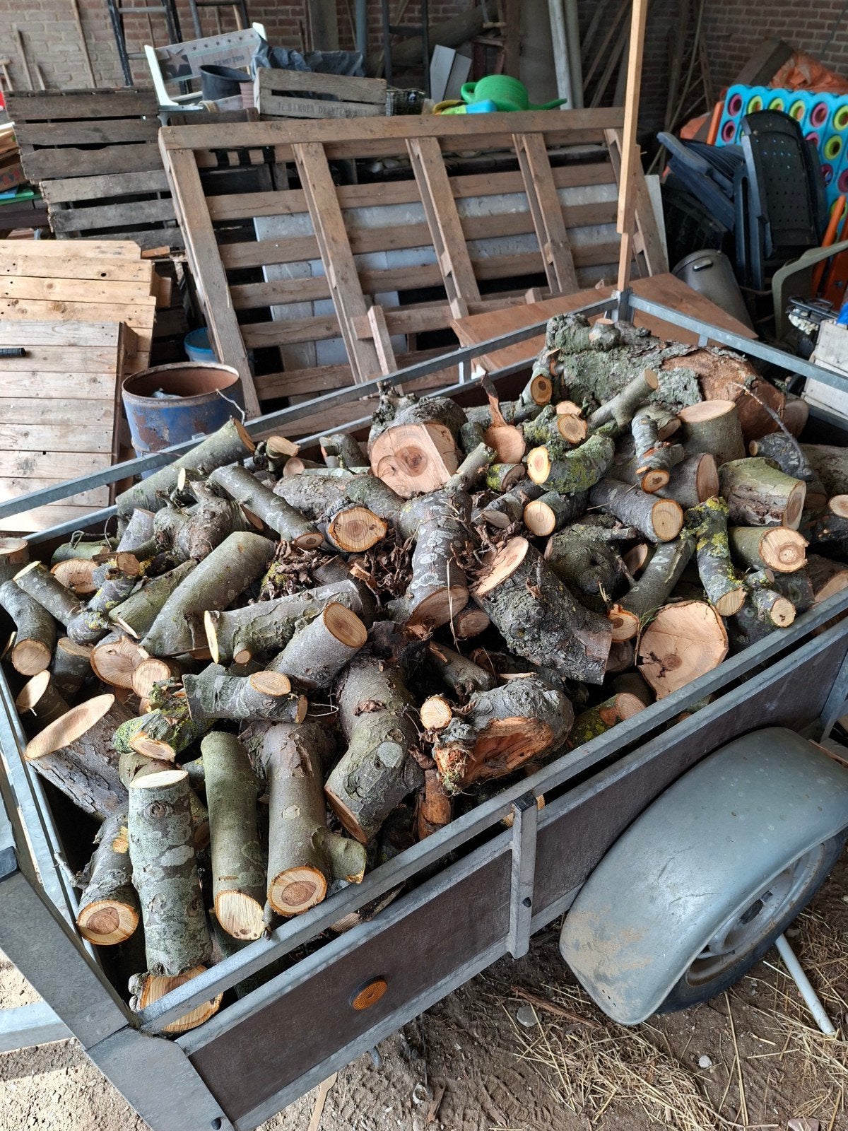 Appelhout uit eigen boomgaard., Minder dan 3 m³, Ophalen, Overige houtsoorten