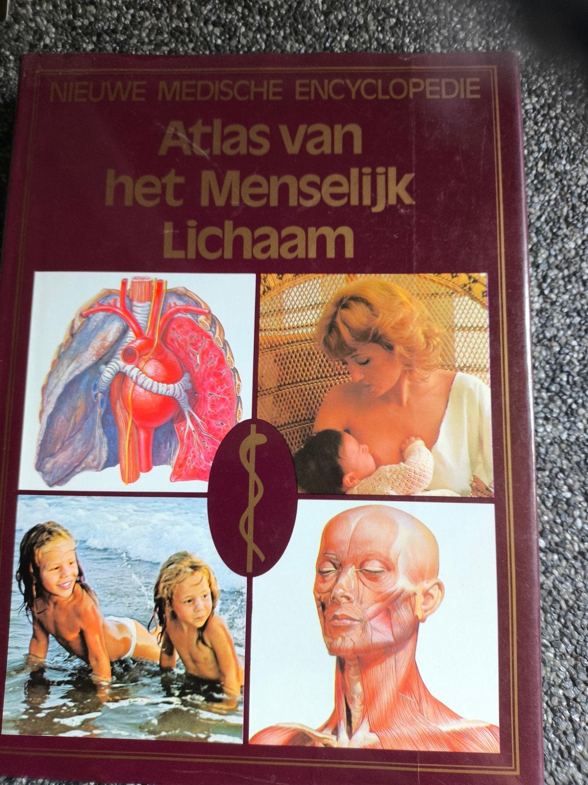 Atlas van het Menselijk lichaam, Boeken, Ophalen of Verzenden, Gelezen