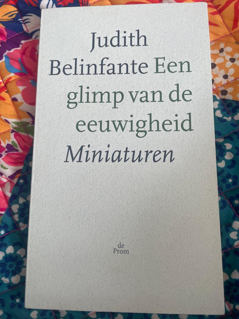 Judith Belinfante - Een glimp van de eeuwigheid Miniaturen, Ophalen of Verzenden, Zo goed als nieuw, Nederland