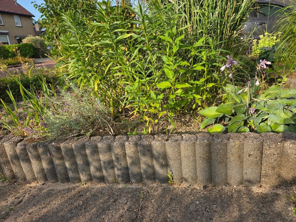 Palissadebanden, Ophalen, Gebruikt, Beton, Overige typen