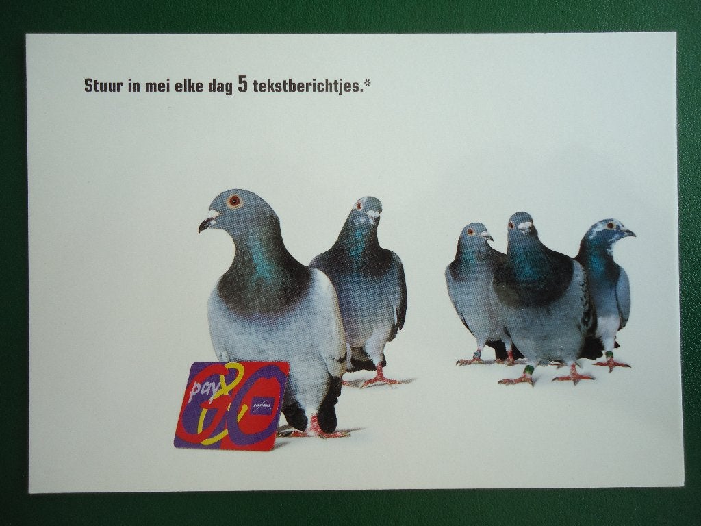 (2097) Dierenkaart: DUIVEN, Verzenden, 1980 tot heden, Ongelopen, Vogel