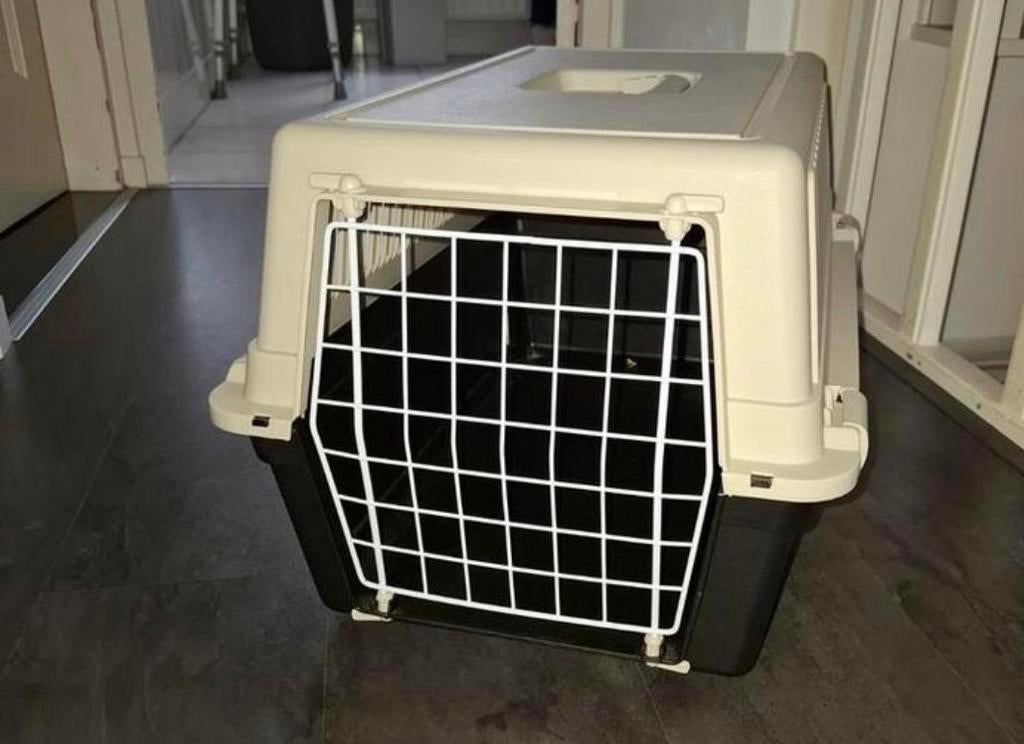Transportbox reismand voor kitten, cavia's 50 x 30 x 35 cm, Ophalen, Zo goed als nieuw