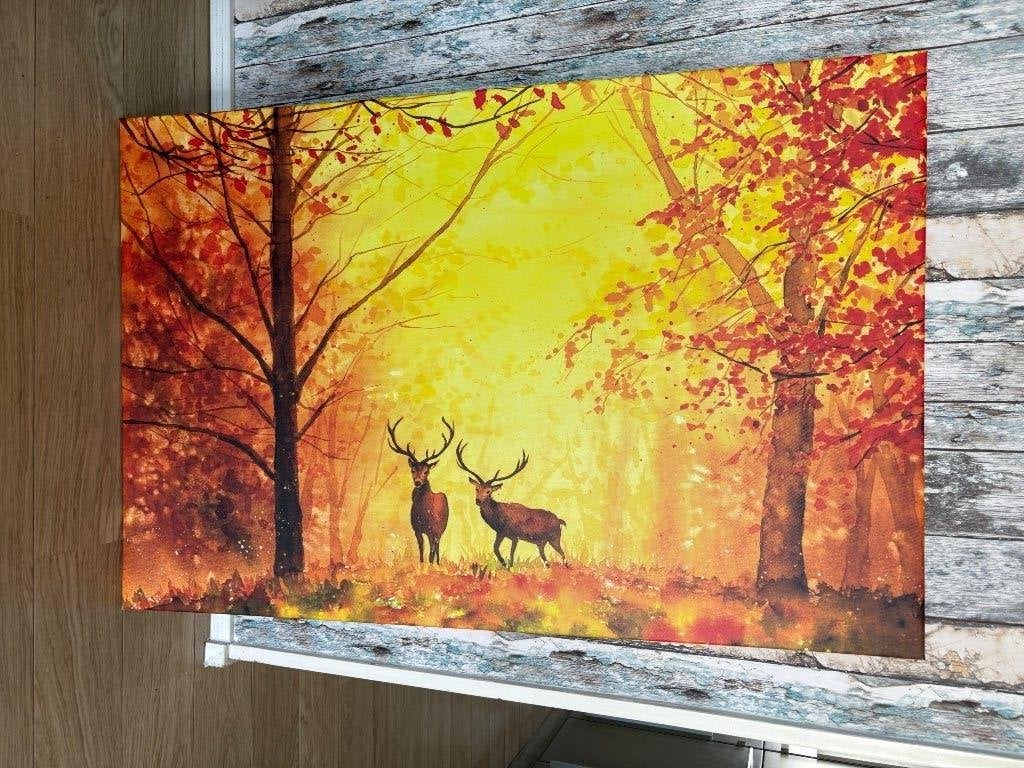 Canvas op houten frame herten, Ophalen, 125 cm of meer, 75 – 100, Print