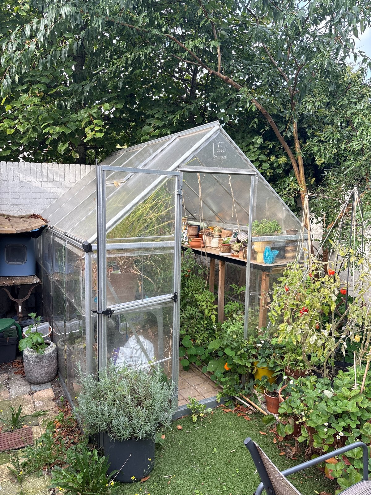 Palram Kweekkas - Ideaal voor uw tuin, Ophalen, Kweekkas, Aluminium, Polycarbonaat