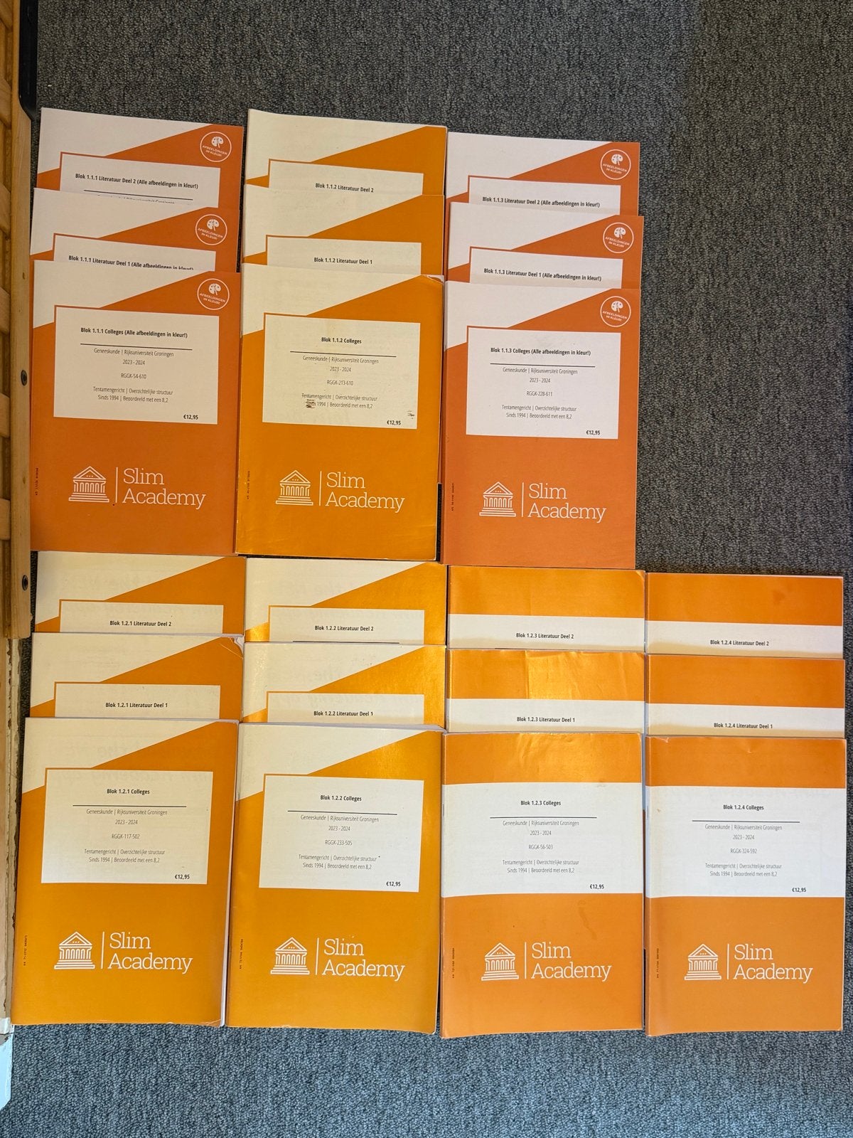 Complete Slim Academy Geneeskunde RUG Jaar 1 (2023/2024), Boeken, Ophalen of Verzenden, Beta, Gelezen, WO