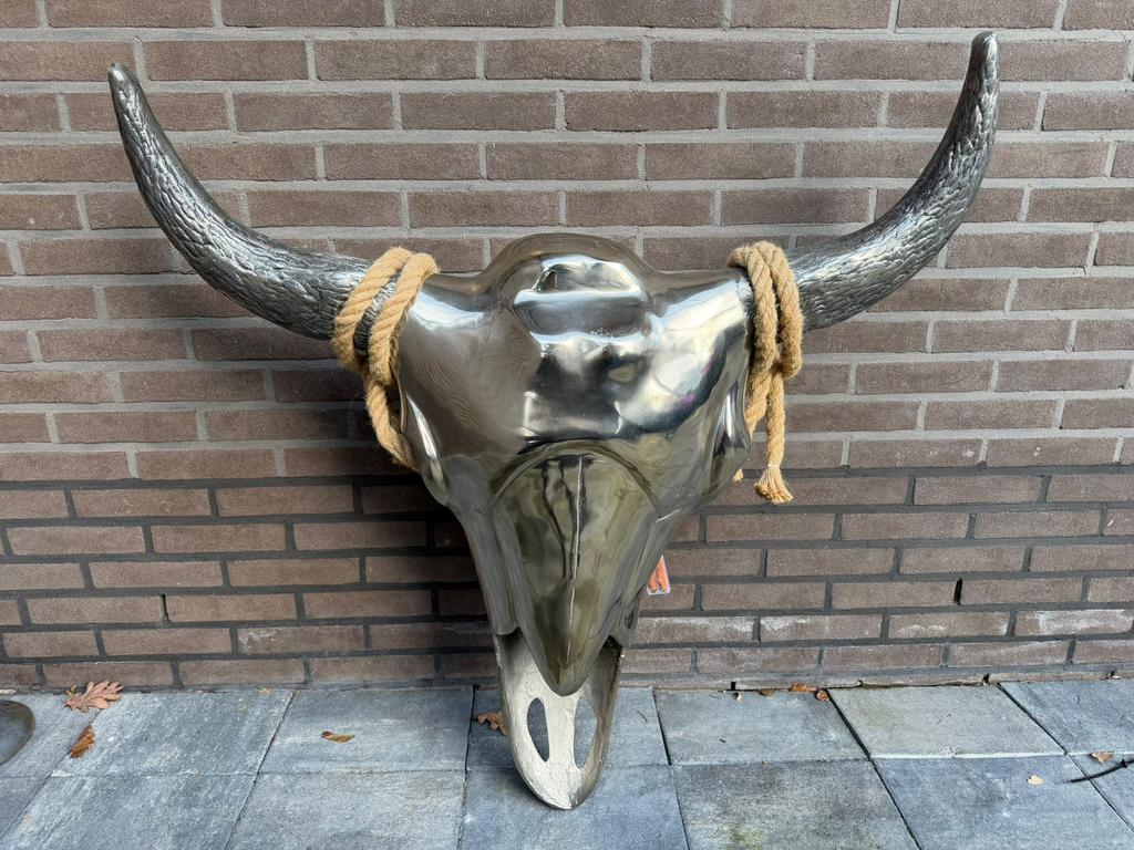 Wand decoratie Skull, Ophalen of Verzenden, Zo goed als nieuw