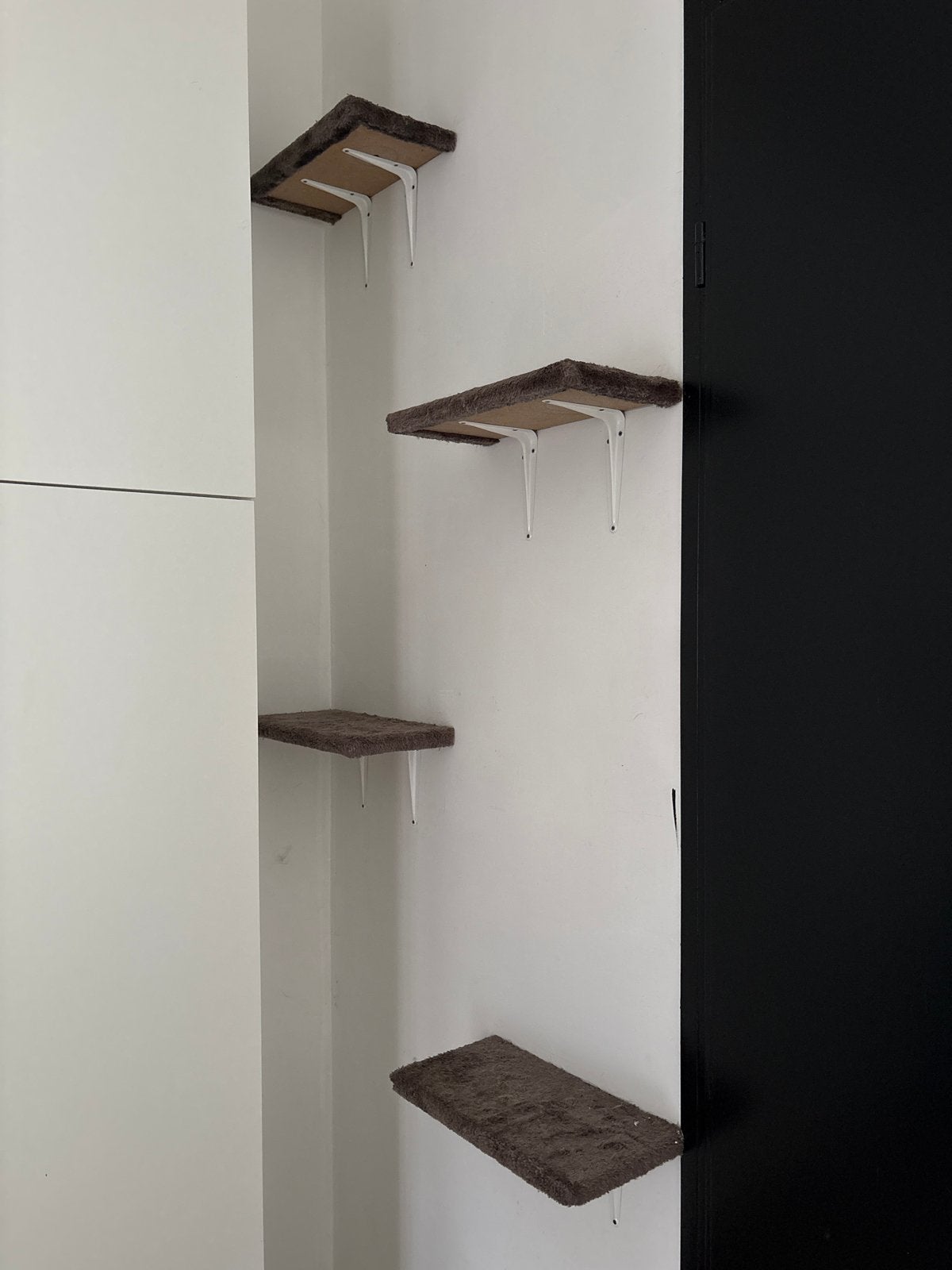Katten klimmuur, Ophalen, Gebruikt