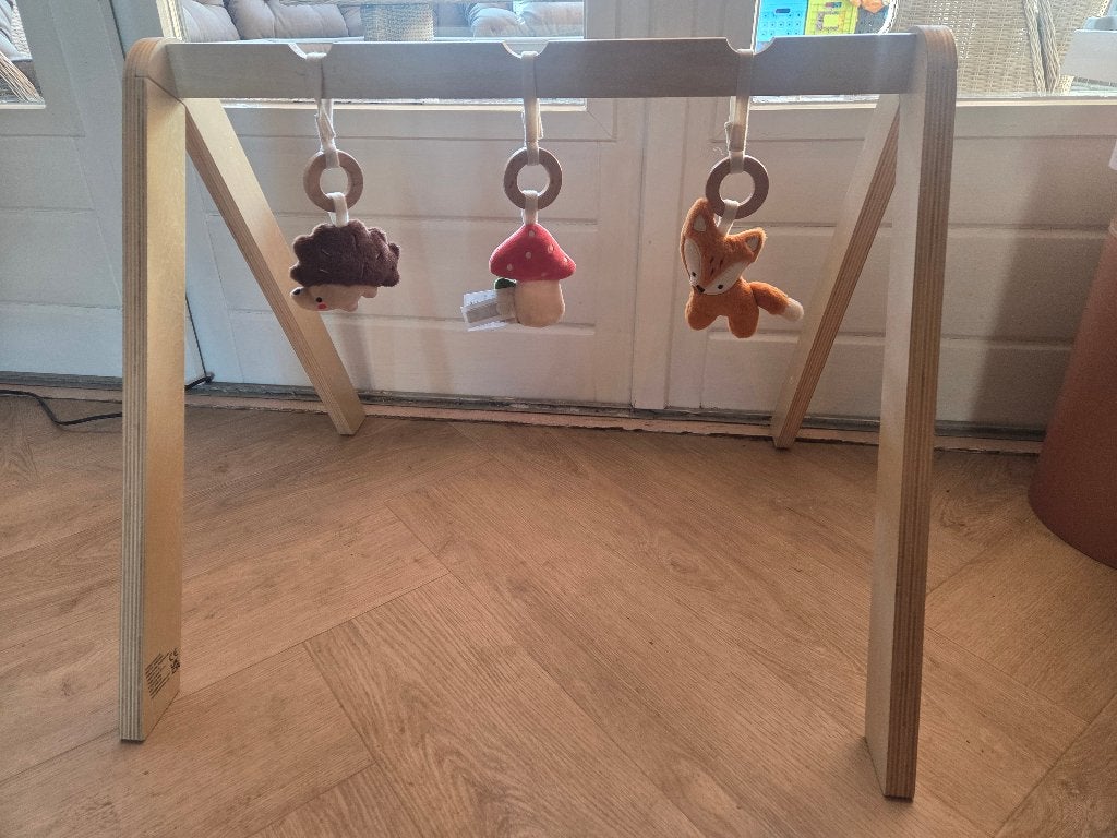 Baby gym, Ophalen, Zo goed als nieuw, Babygym