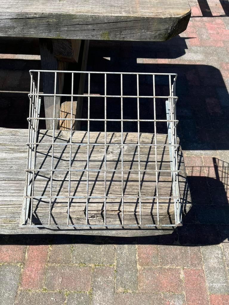 Hooiruif, Dieren en Toebehoren, Schapen, Geiten en Varkens, Meerdere dieren, Schaap