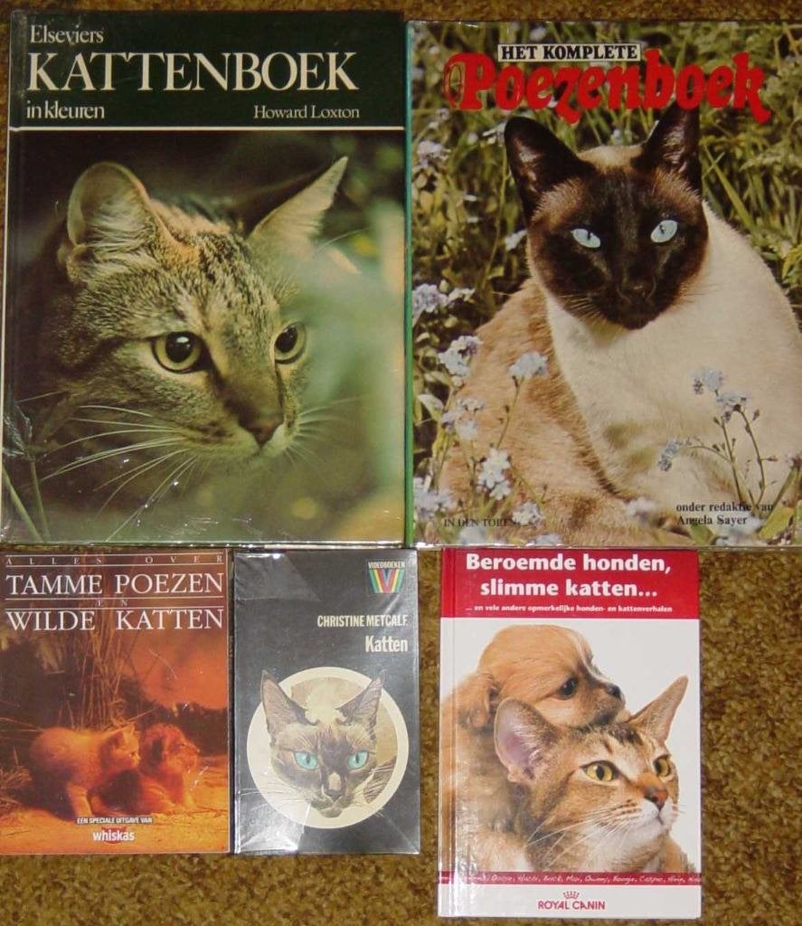 Boeken Katten / Poezen en zonneschermpjes, Ophalen of Verzenden, Katten