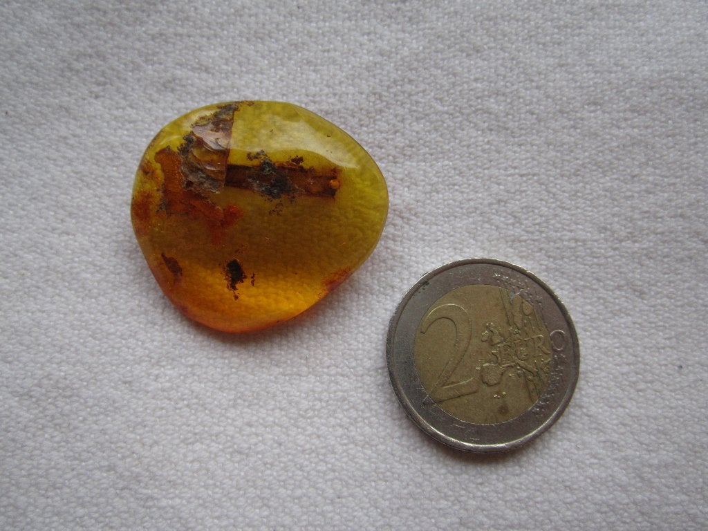 26.  Schitterende oude broche,  barnsteen, Ophalen, Overige materialen, Broche